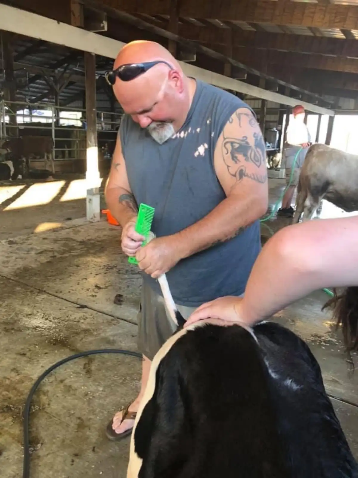 Shows & Skulls at Fun-EE Farm Longhorns