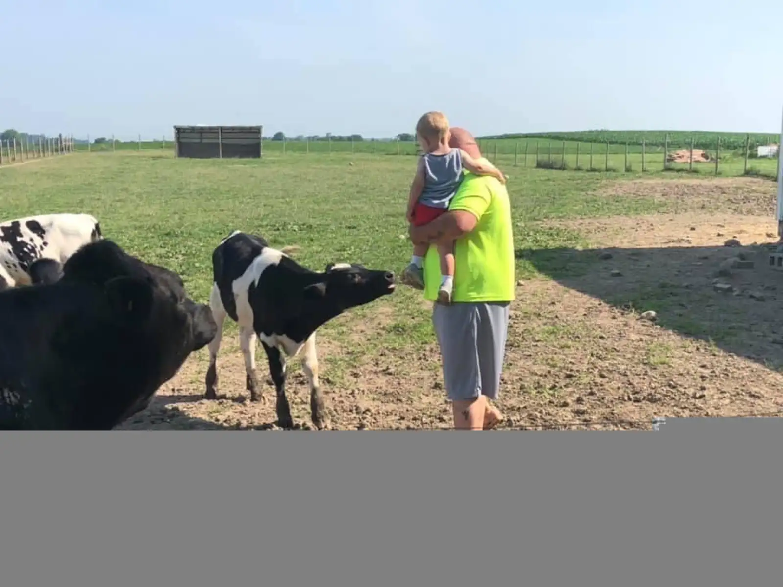 The Family at Fun-EE Farm Longhorns