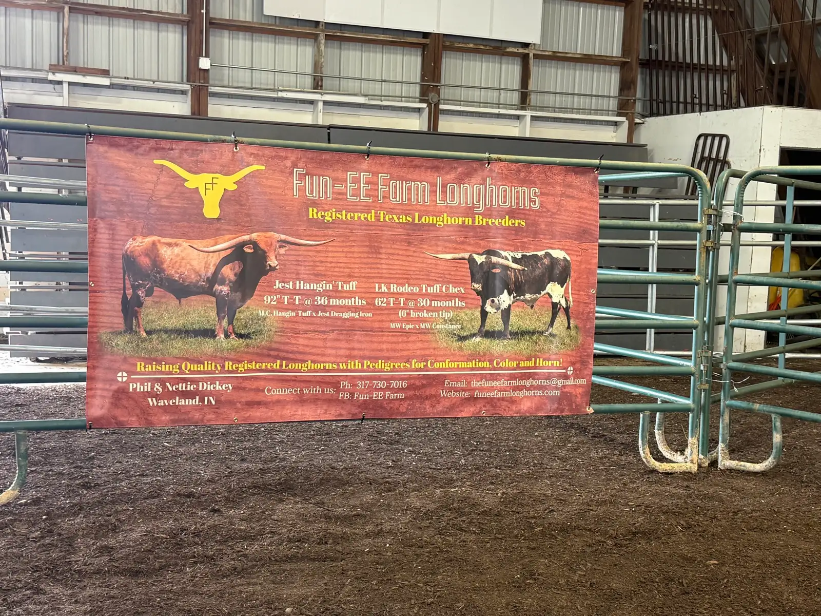 Shows & Skulls at Fun-EE Farm Longhorns