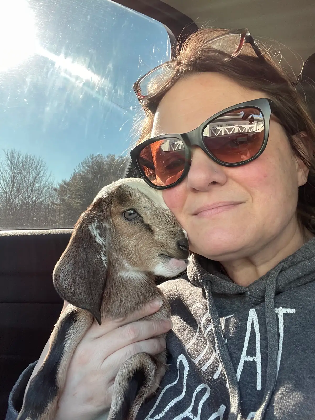 The Goats at Fun-EE Farm Longhorns