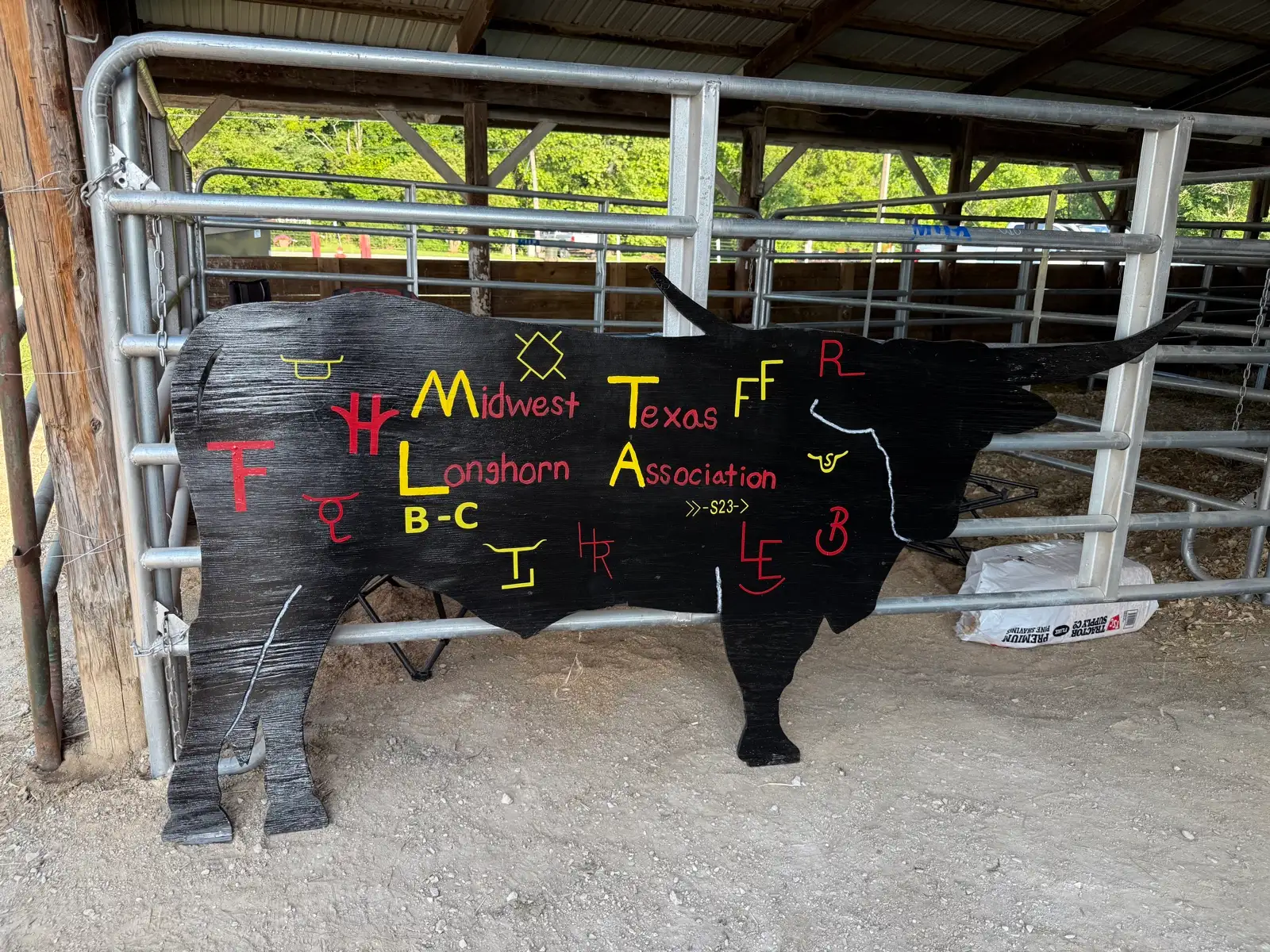 Shows & Skulls at Fun-EE Farm Longhorns