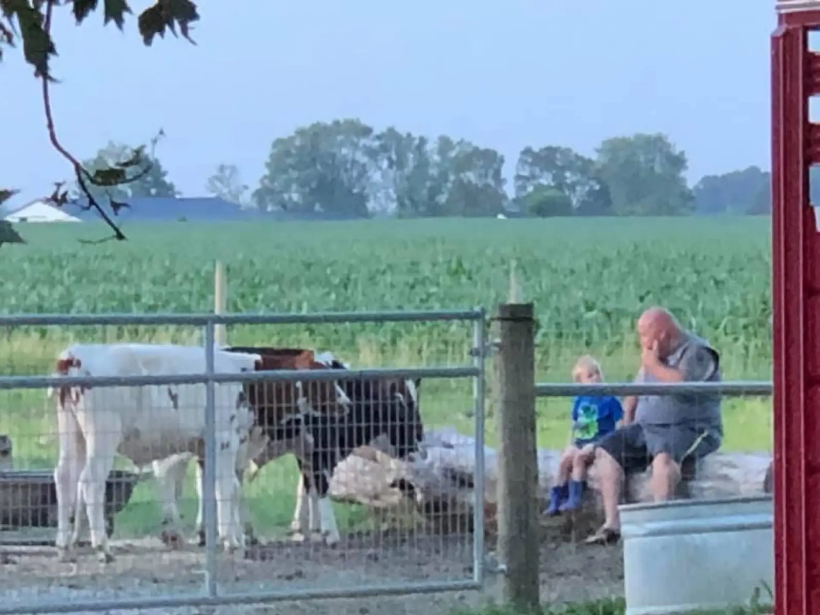 The Family at Fun-EE Farm Longhorns