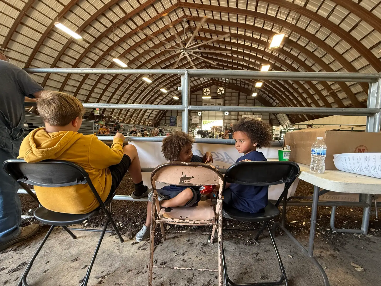 Shows & Skulls at Fun-EE Farm Longhorns