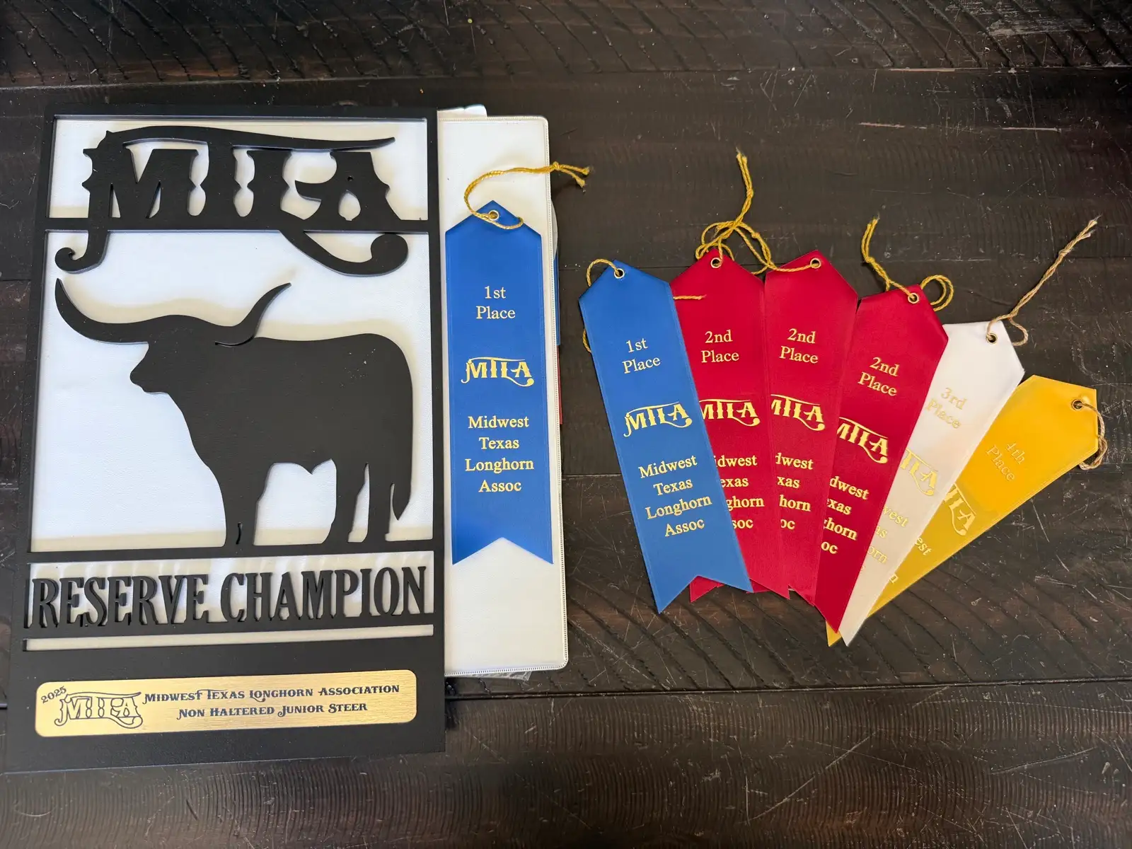 Shows & Skulls at Fun-EE Farm Longhorns