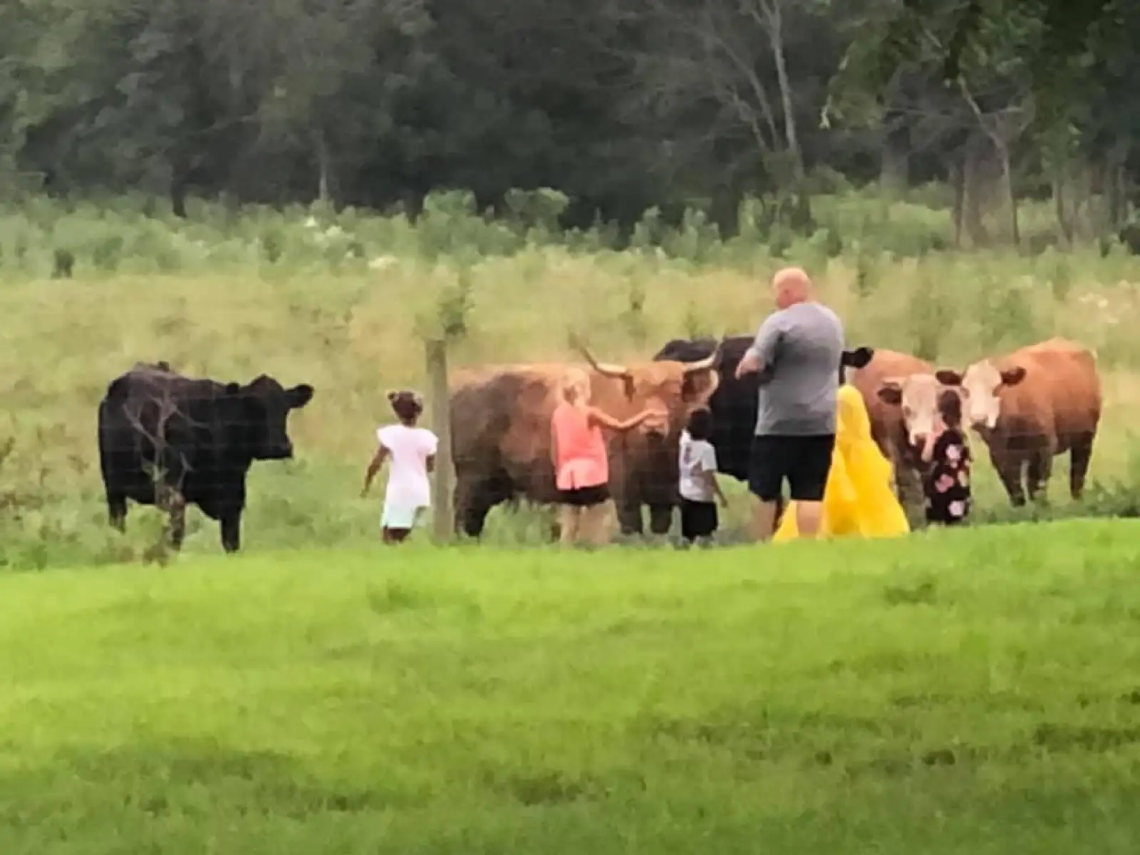 The Family at Fun-EE Farm Longhorns