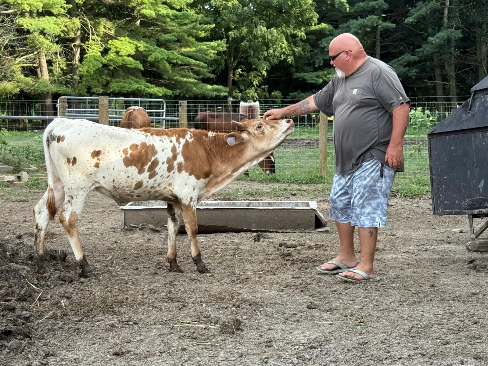 M.C. Joyful at Fun-EE Farm